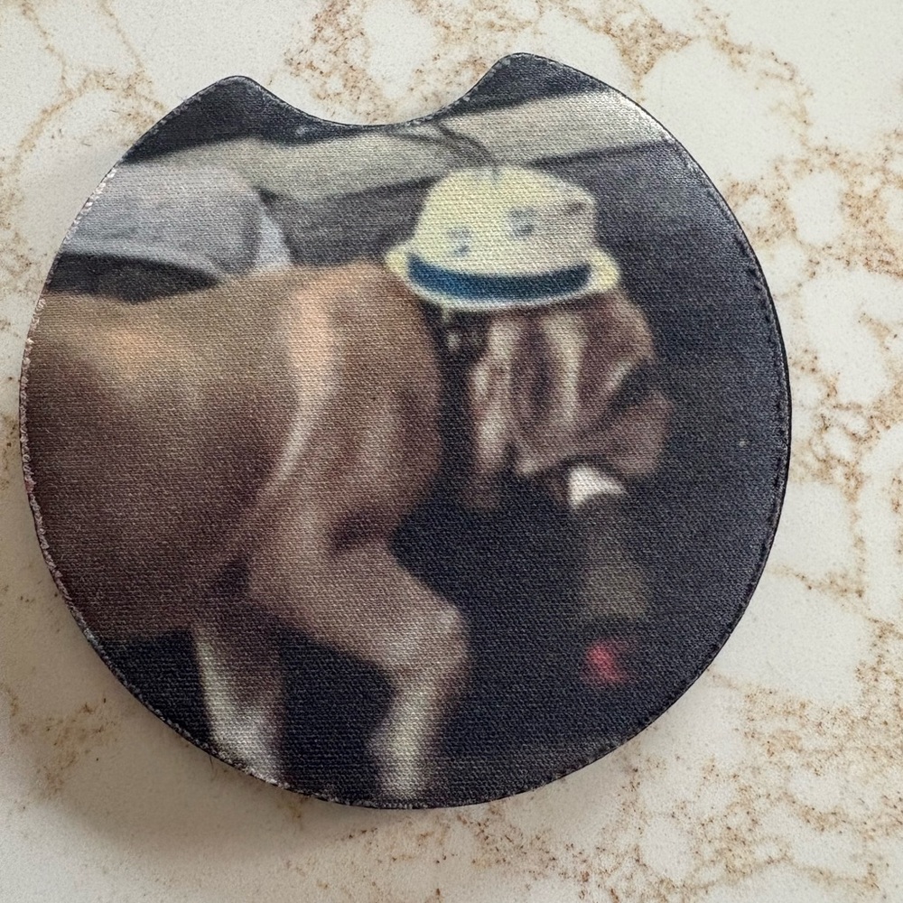 Fun & Funky Car Coaster – Absorbent, Unique Designs, Perfect Gift!